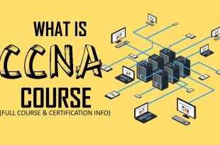 ccna training